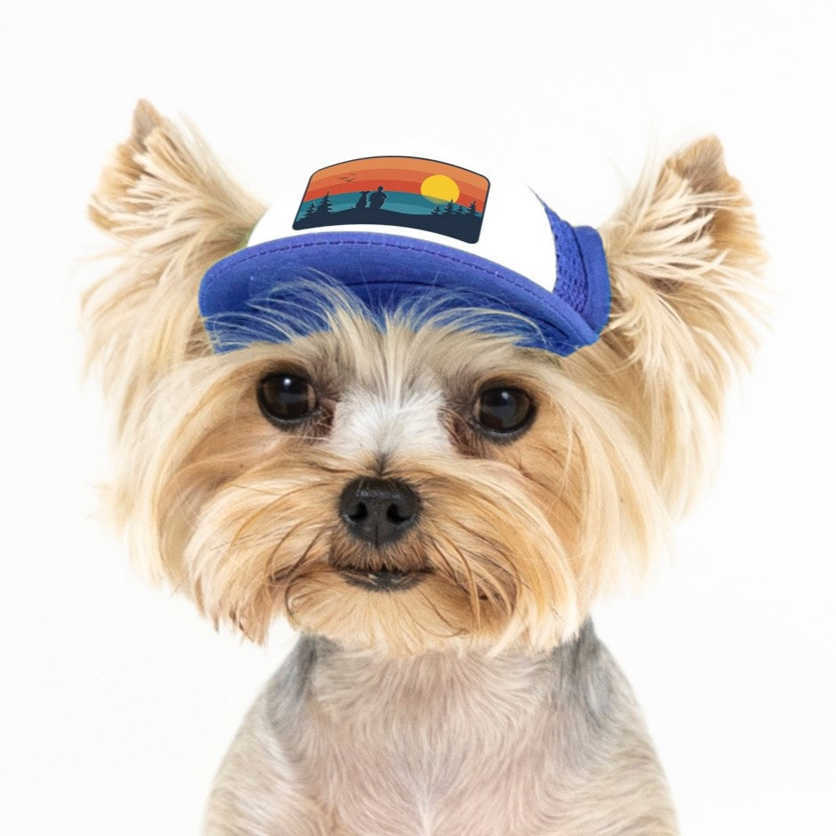 Dog hotsell visor hats