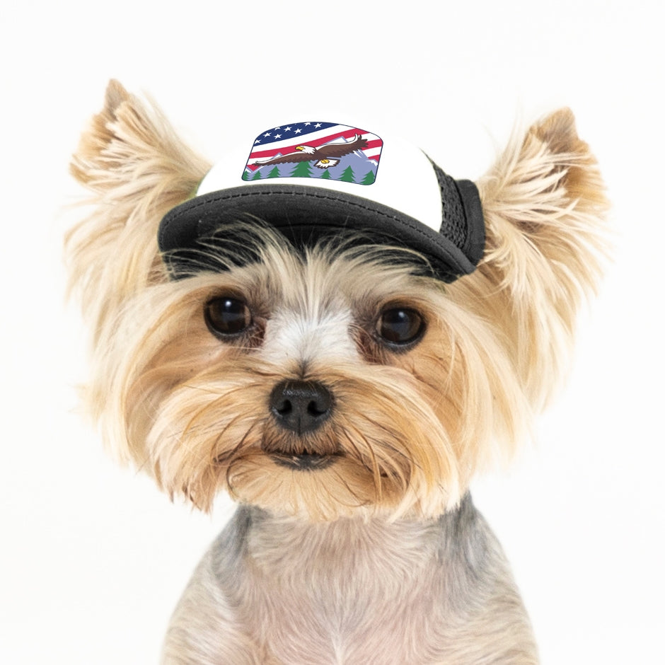 PupLid USA Designs | Size Tiny Dog Hat