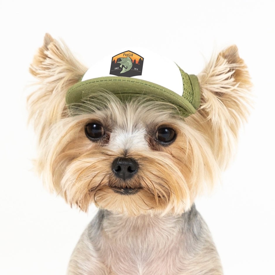 PupLid Nature Designs | Size Tiny Dog Hat