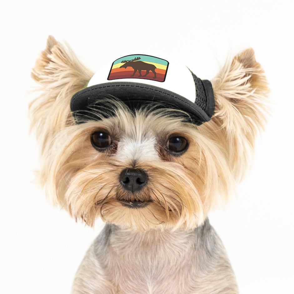 PupLid Nature Designs | Shop Size Tiny Trucker Hats for Dogs