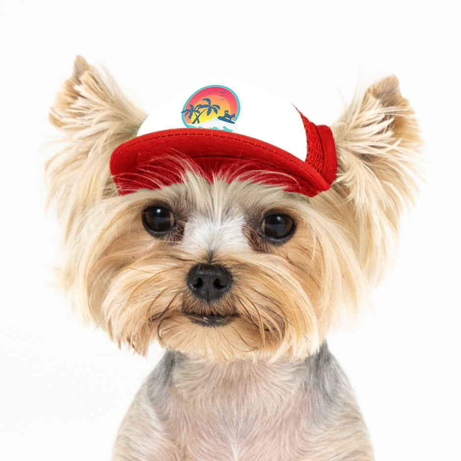 Dog store trucker hat