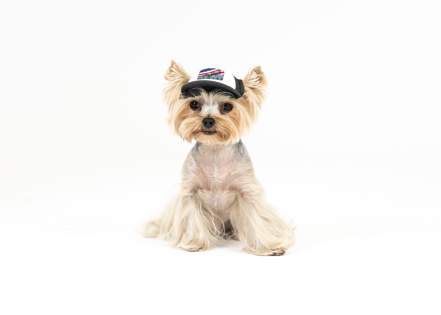 PupLid USA Designs | Size Tiny Dog Hat