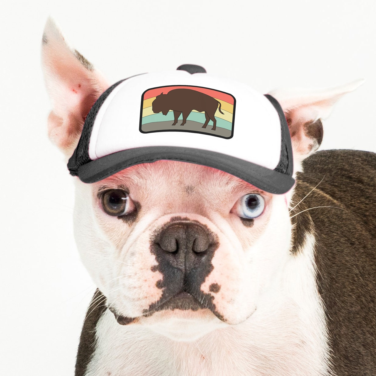 PupLid Nature Designs | Size XS Dog Hat