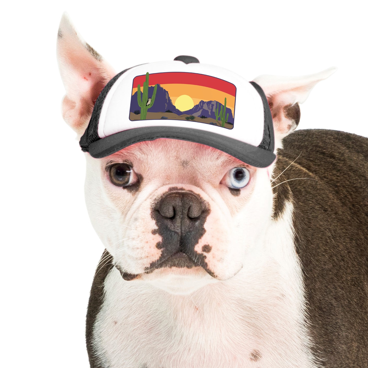 PupLid Landscape Designs | Size XS Dog Hat