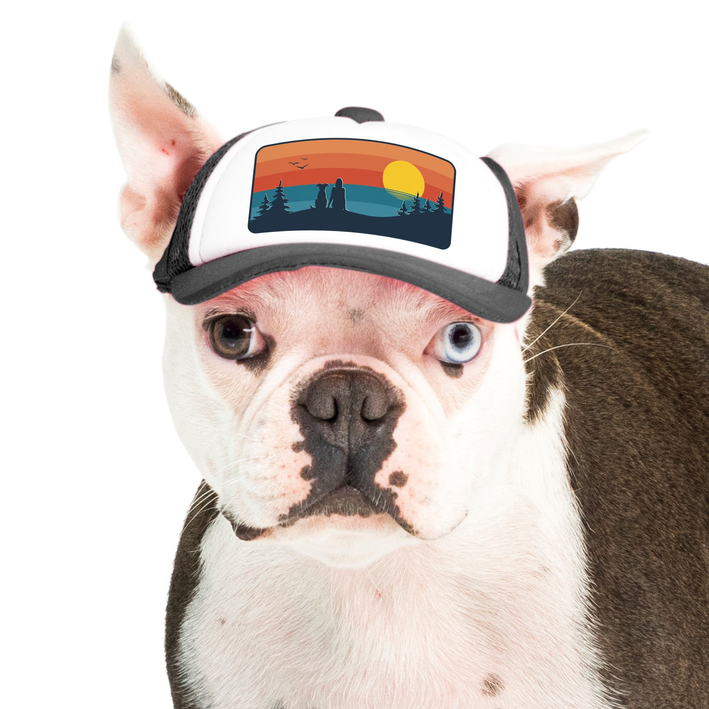 PupLid Landscape Designs | Size XS Dog Hat