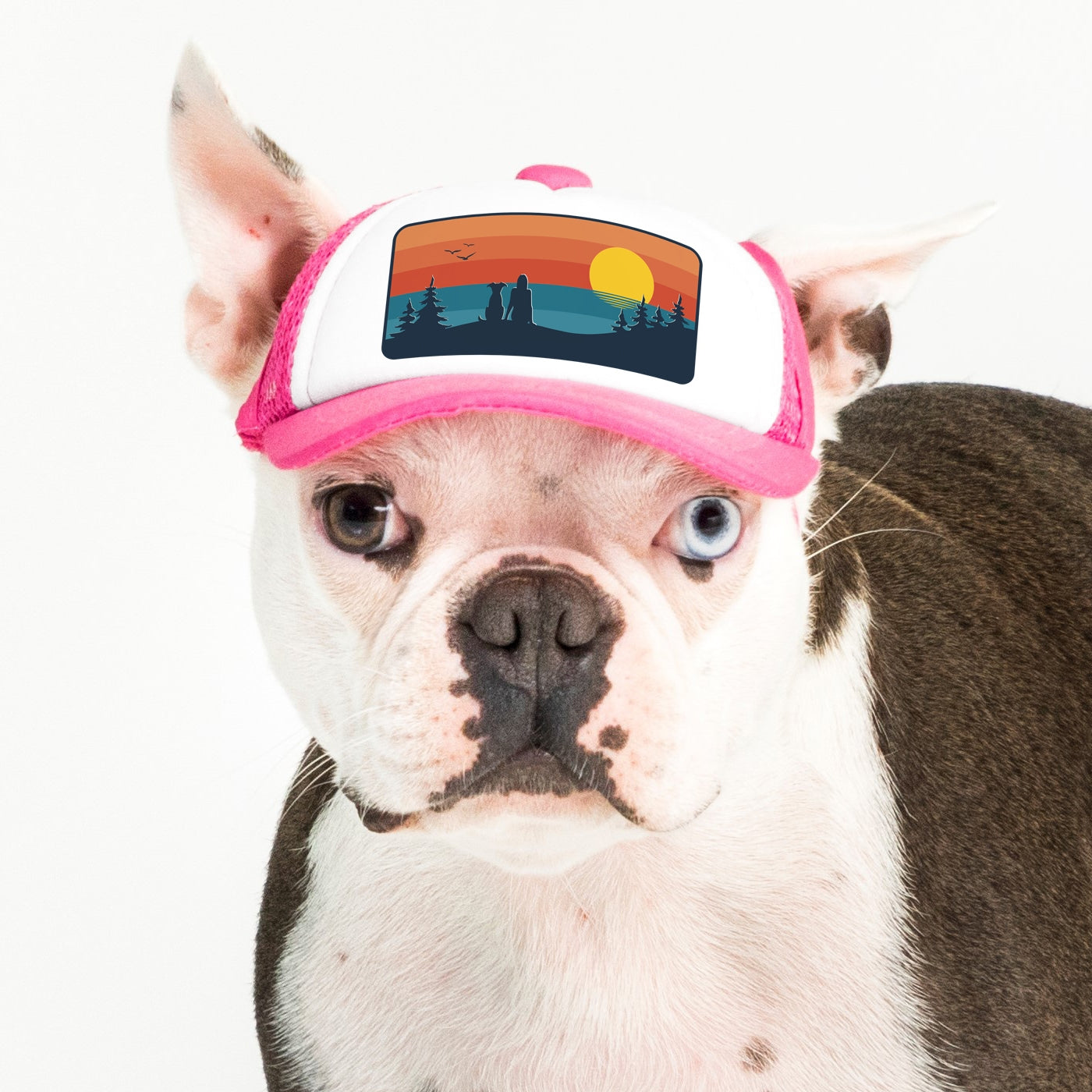 Dog trucker hat on sale