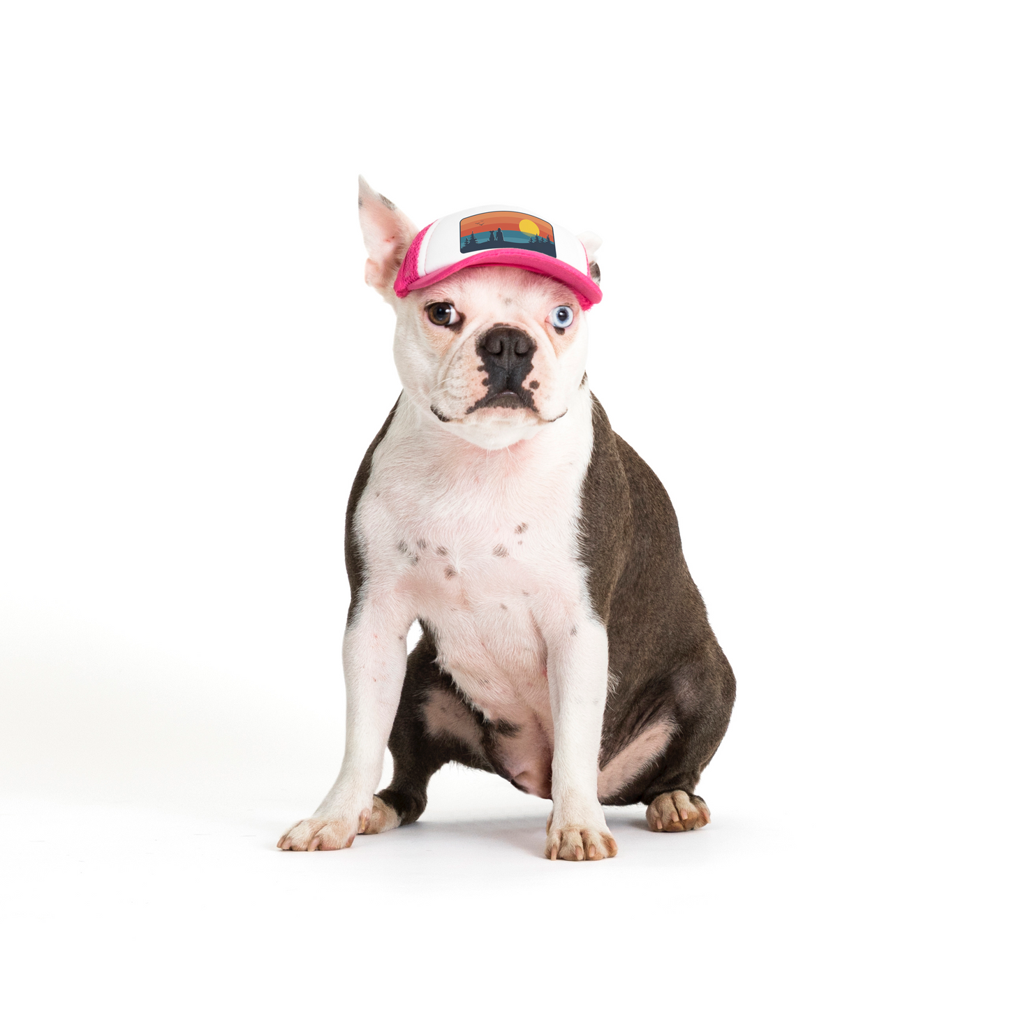 PupLid Landscape Designs | Size XS Dog Hat