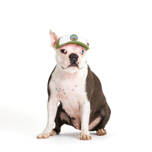 PupLid Retro Designs | Size XS Dog Hat