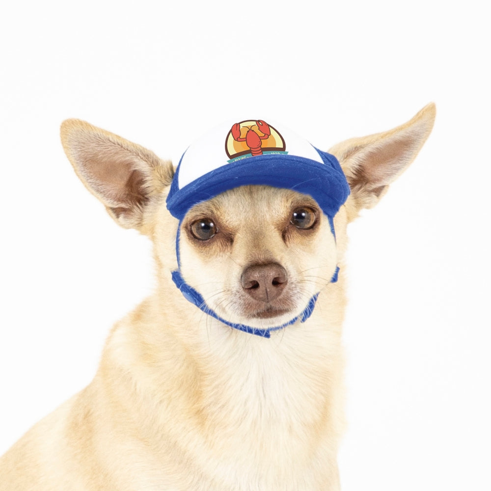 Premium Trucker Hats for Dogs  Shop Size XXS for Small Pups – PupLid