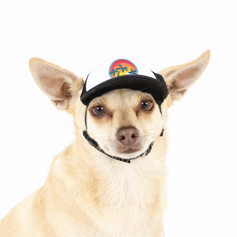 PupLid Sunset Designs | Shop Size XXS Trucker Hats for Dogs