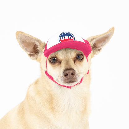 PupLid USA Designs | Size XXS Dog Hat