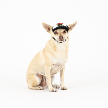 PupLid Nature Designs | Size XXS Dog Hat