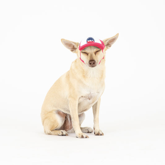 PupLid USA Designs | Size XXS Dog Hat