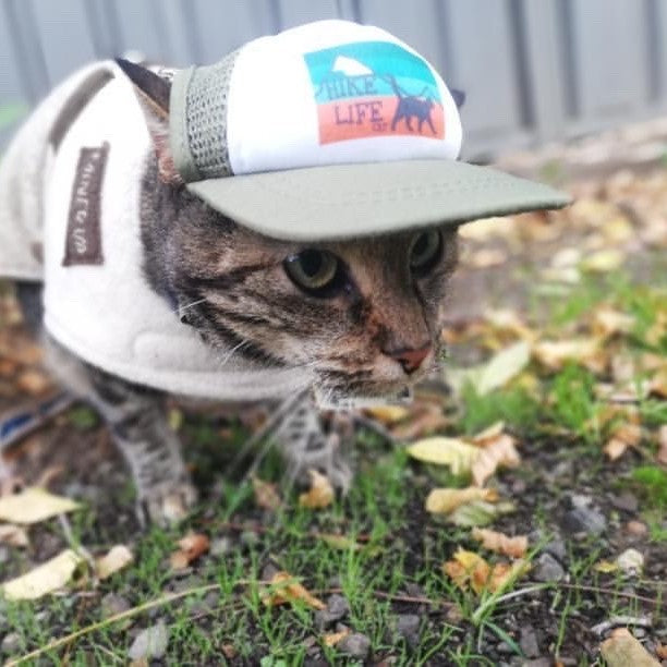 hike life cat hat